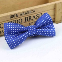 Boys Royal Blue Polka Dot Bow Tie with Adjustable Strap